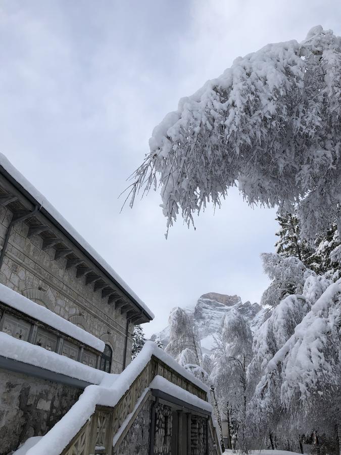 Th Borca Di Cadore - Park Hotel Des Dolomites Exterior photo